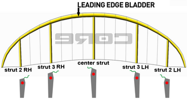 Core Nexus Bladder Postion